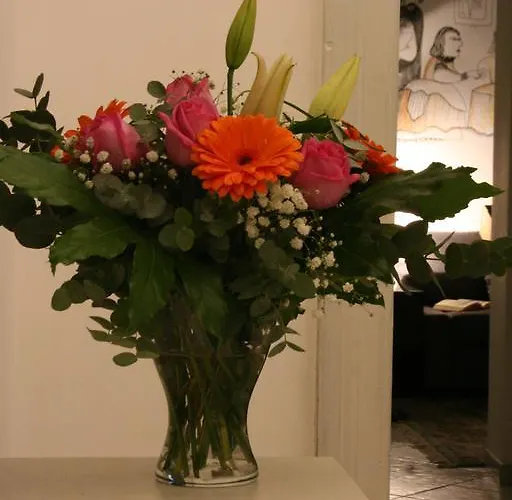 Couette-café Claudia 3*