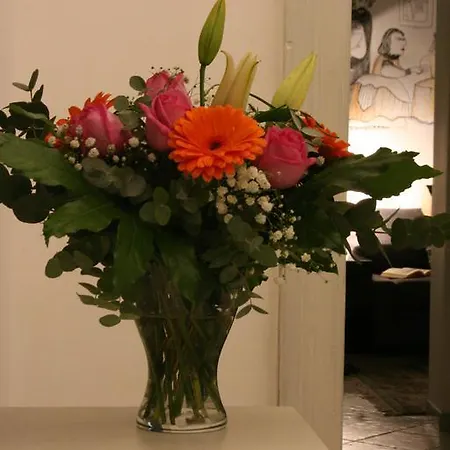 Alojamento de Acomodação e Pequeno-almoço Claudia 3*