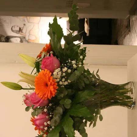 Alojamento de Acomodação e Pequeno-almoço Claudia